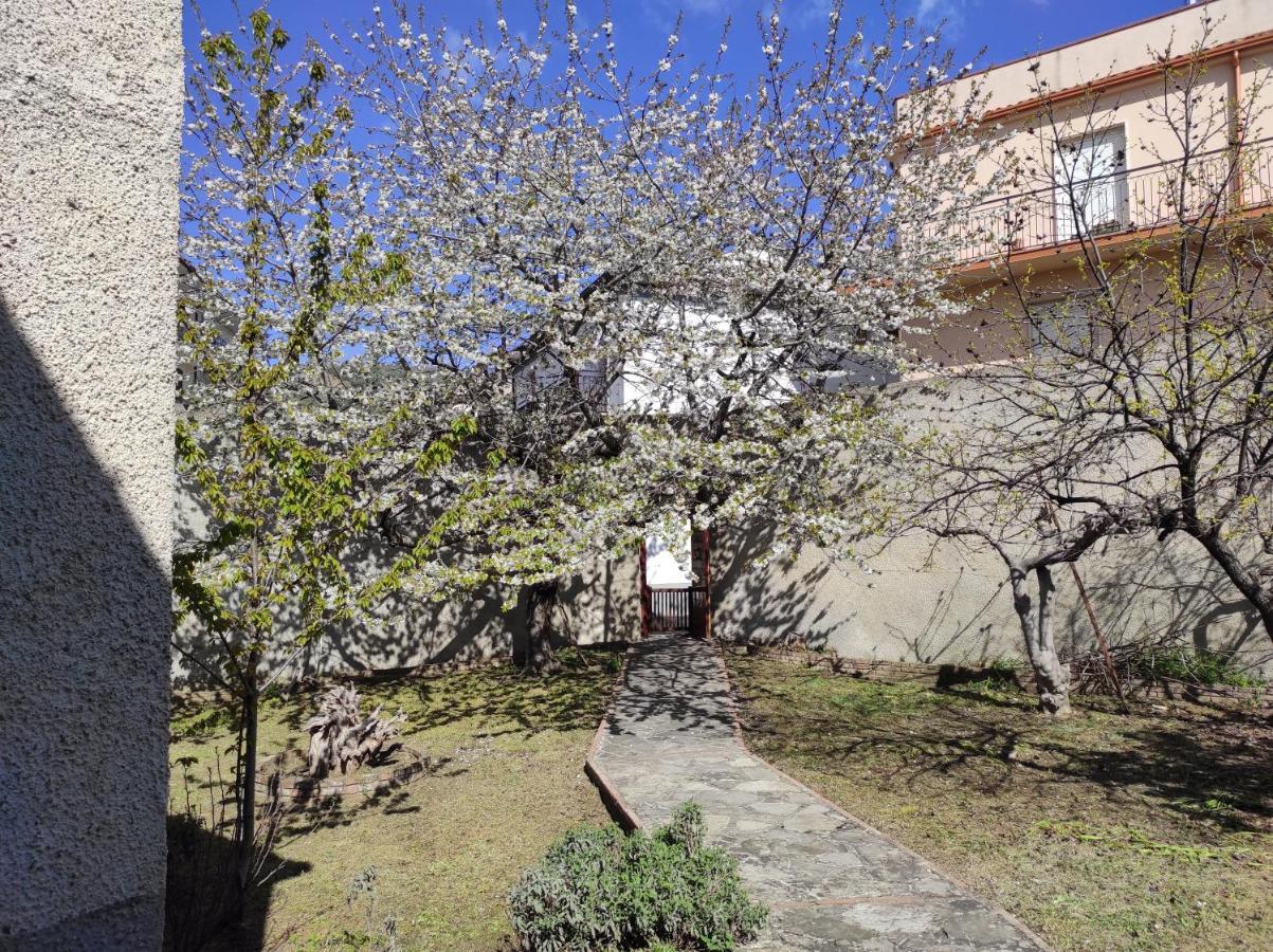 Bed and Breakfast Antica Dimora Palazzo Rovitti Cerchiara di Calabria Exterior foto