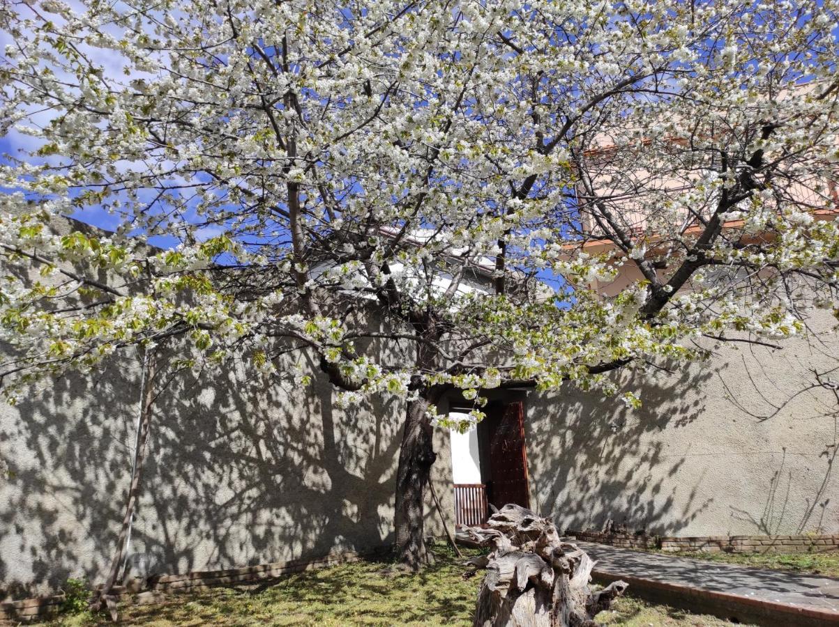 Bed and Breakfast Antica Dimora Palazzo Rovitti Cerchiara di Calabria Exterior foto